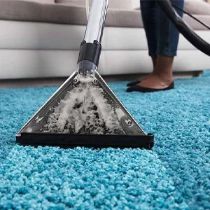 Carpet Cleaning